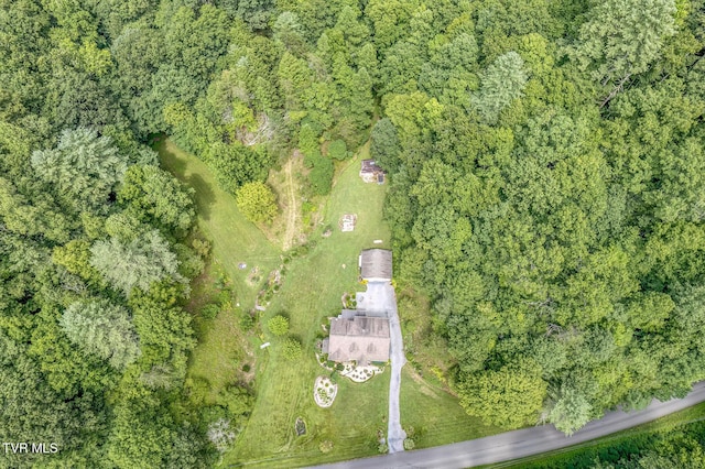 bird's eye view