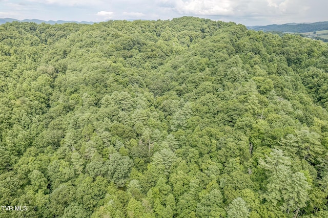 aerial view with a view of trees