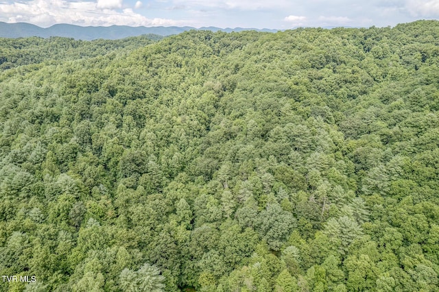 bird's eye view with a forest view and a mountain view