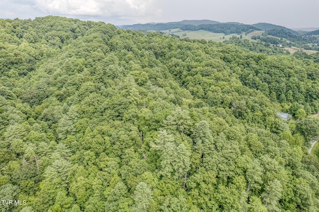 bird's eye view with a view of trees and a mountain view