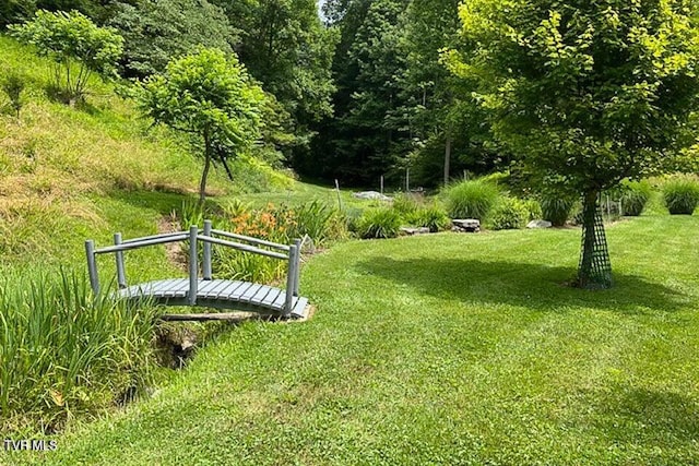 view of community featuring a lawn