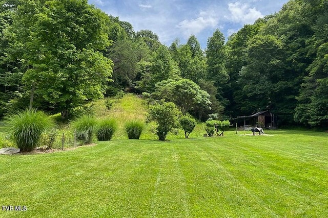 view of yard with a wooded view