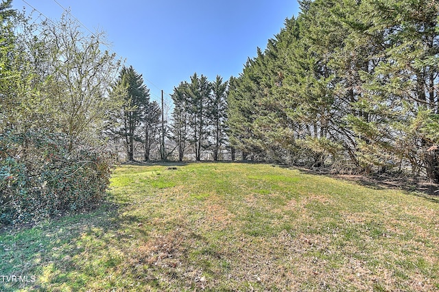 415 Fairgrounds Rd, Greeneville, TN 37745 - view of yard