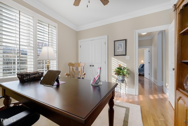20324 Josh Allen Dr, Abingdon, VA 24211 - office space featuring baseboards, a ceiling fan, light wood-type flooring, and ornamental molding