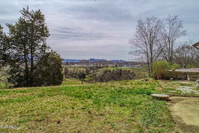 119 Cole Ln, Church Hill, TN 37642 - photo 48