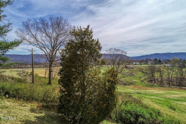 119 Cole Ln, Church Hill, TN 37642 - photo 49