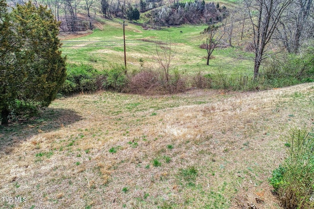 119 Cole Ln, Church Hill, TN 37642 - photo 50