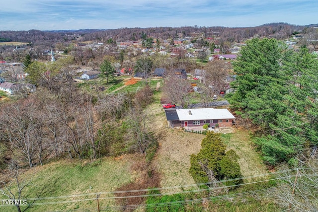 119 Cole Ln, Church Hill, TN 37642 - photo 59