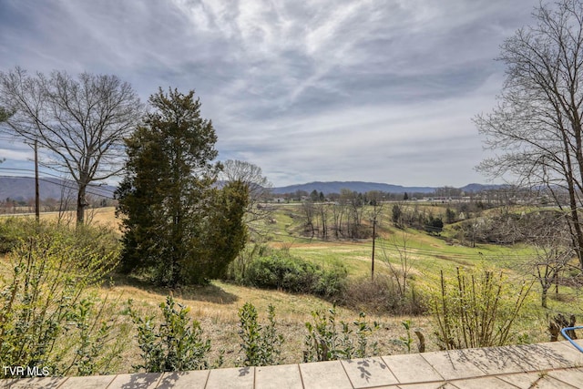119 Cole Ln, Church Hill, TN 37642 - photo 60