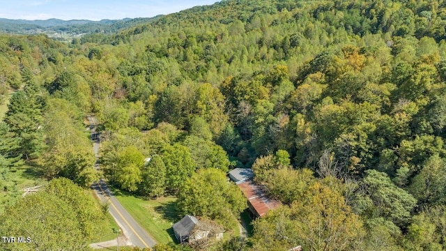 1297 Dry Creek Rd, Blackwater, VA 24221 - photo 43