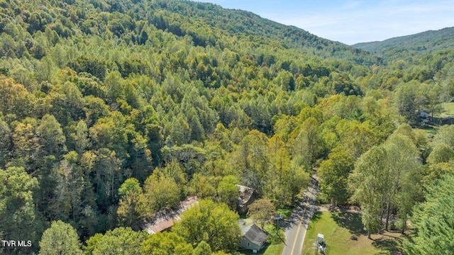 1297 Dry Creek Rd, Blackwater, VA 24221 - photo 44