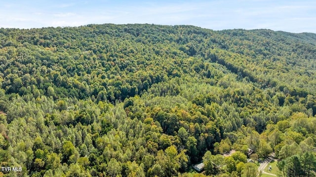 1297 Dry Creek Rd, Blackwater, VA 24221 - photo 4