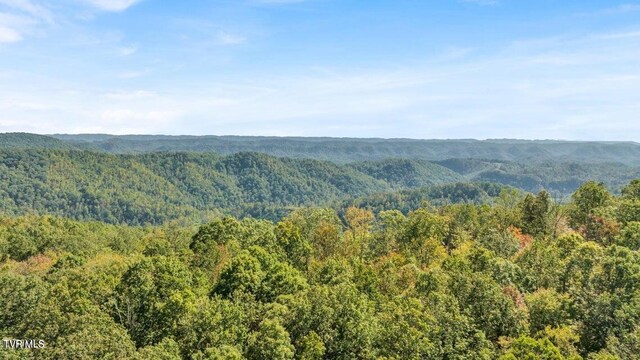 1297 Dry Creek Rd, Blackwater, VA 24221 - photo 45