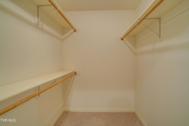 142 Laurel Acres Ct, Jonesborough, TN 37659 - spacious closet with light colored carpet