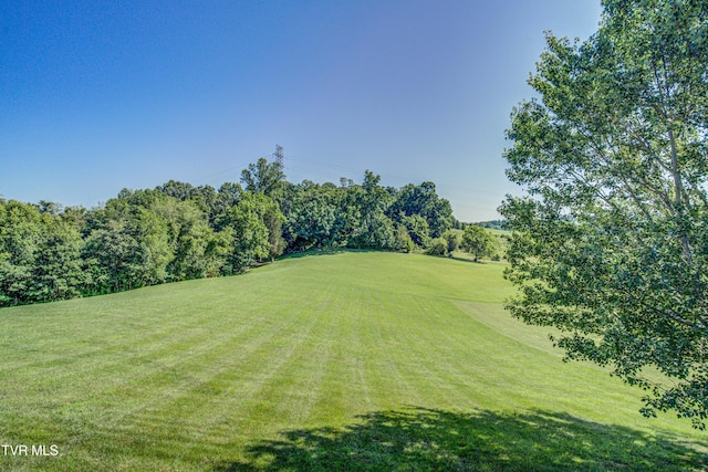 142 Laurel Acres Ct, Jonesborough, TN 37659 - view of grassy yard featuring view of wooded area and golf course view