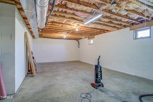 142 Laurel Acres Ct, Jonesborough, TN 37659 - basement with concrete block wall