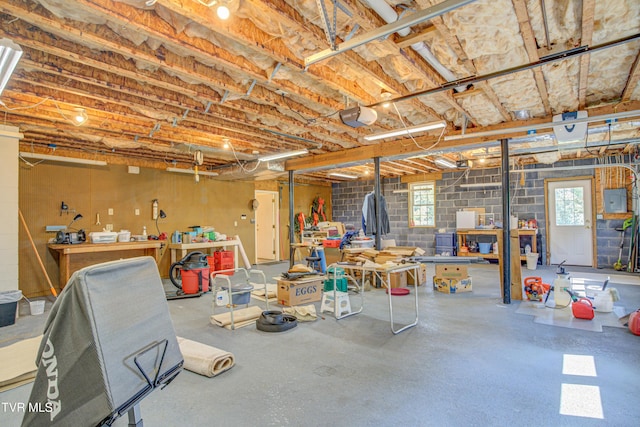142 Laurel Acres Ct, Jonesborough, TN 37659 - below grade area featuring electric panel