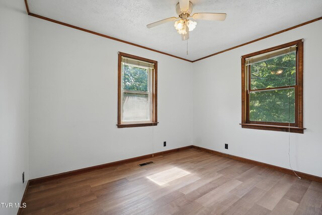 529 Hiwassee St, Mount Carmel, TN 37645 - photo 20