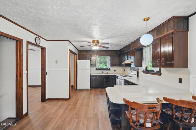 529 Hiwassee St, Mount Carmel, TN 37645 - photo 12