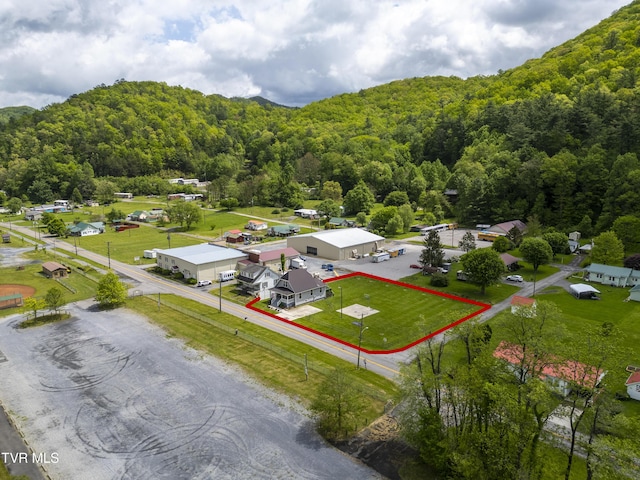 bird's eye view with a view of trees