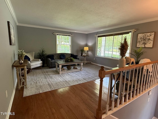 1209 Beechwood Dr, Johnson City, TN 37604 - living area featuring wood finished floors, baseboards, crown molding, and a textured ceiling