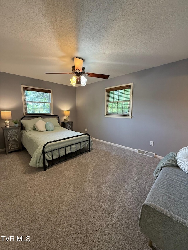 1209 Beechwood Dr, Johnson City, TN 37604 - bedroom with multiple windows, carpet floors, a textured ceiling, and baseboards