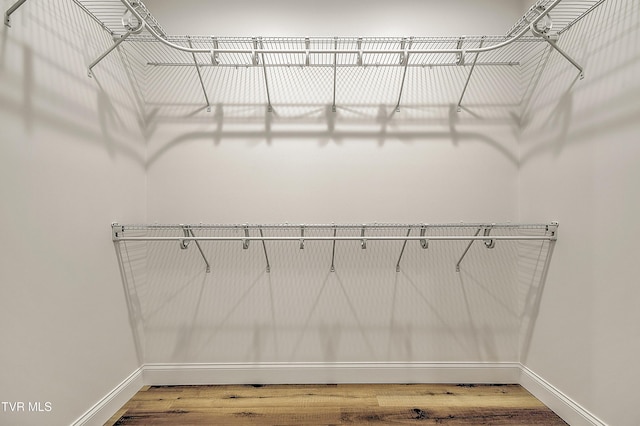 703 Swadley Rd, Johnson City, TN 37601 - walk in closet with wood finished floors