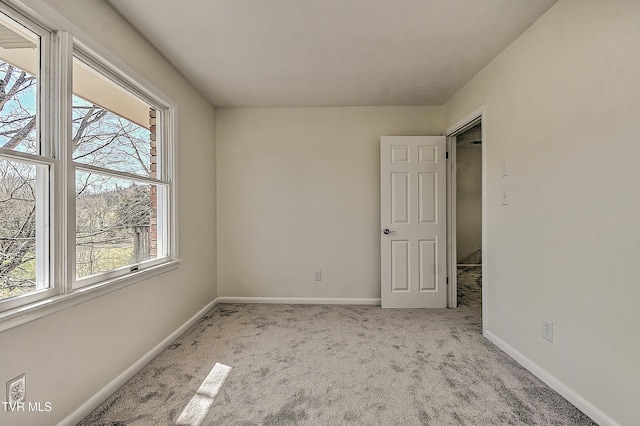398 Hales Chapel Rd, Gray, TN 37615 - photo 48