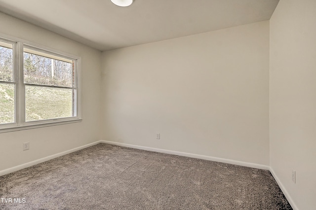 398 Hales Chapel Rd, Gray, TN 37615 - photo 49