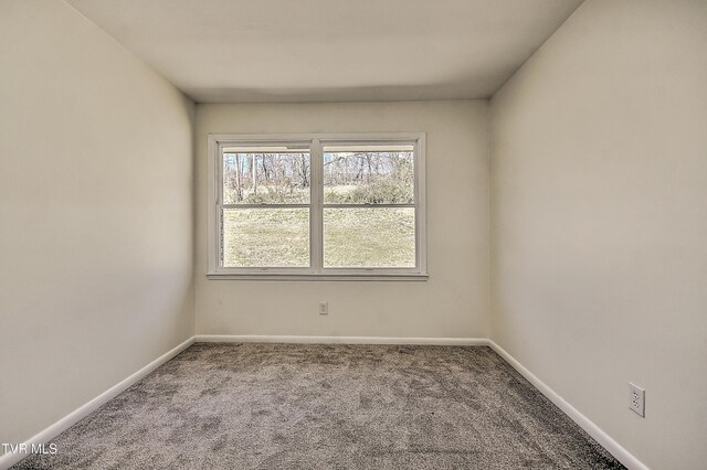 398 Hales Chapel Rd, Gray, TN 37615 - photo 50