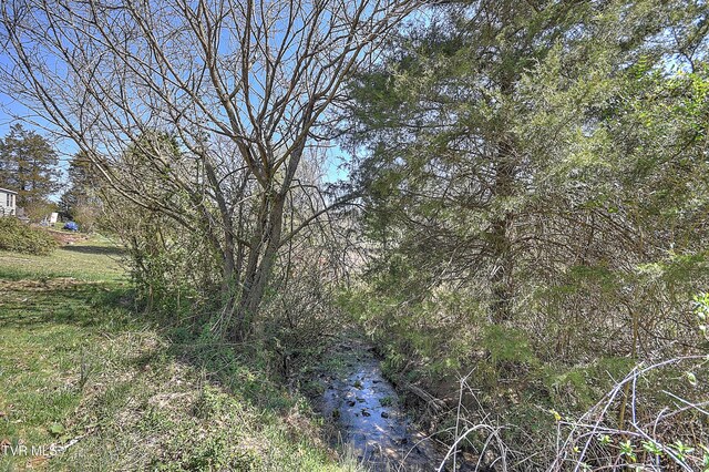 398 Hales Chapel Rd, Gray, TN 37615 - photo 61