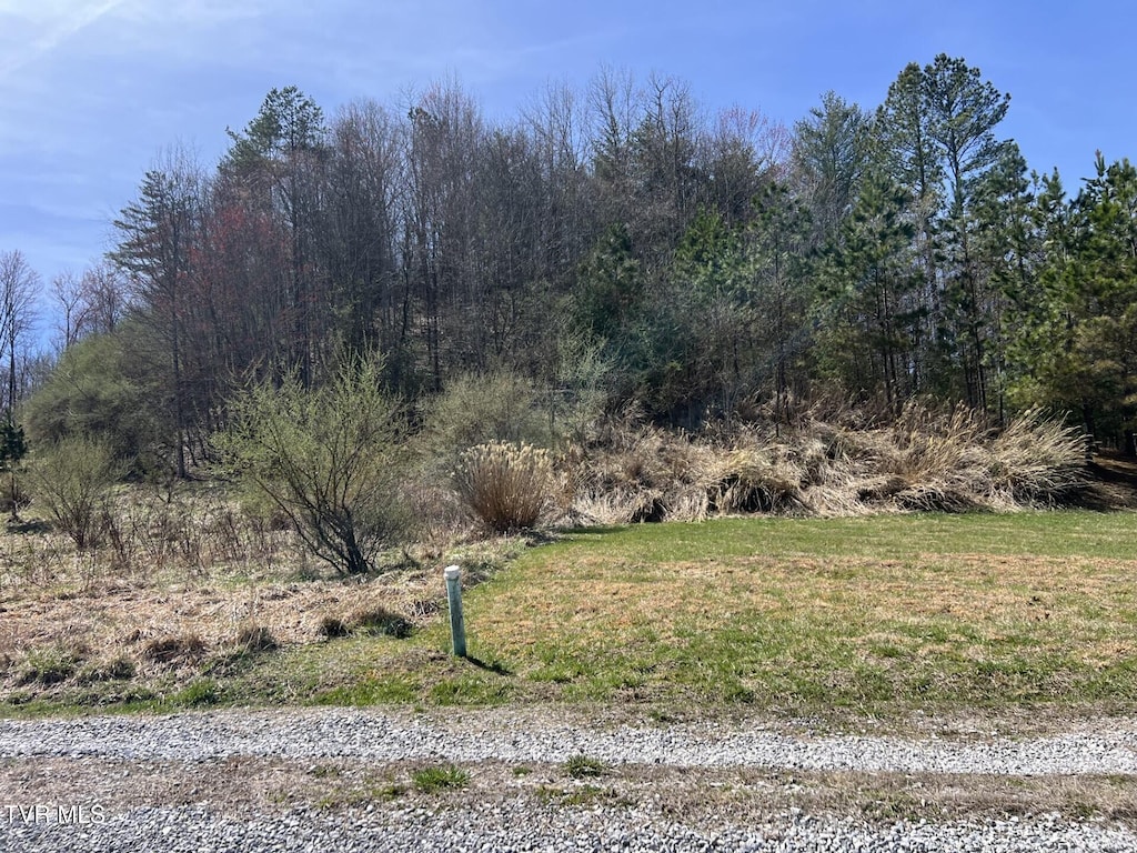 TBD Charles St, Clintwood, VA 24228