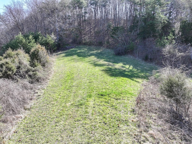640 Twin Barns Rd, Greeneville, TN 37743 - photo 9