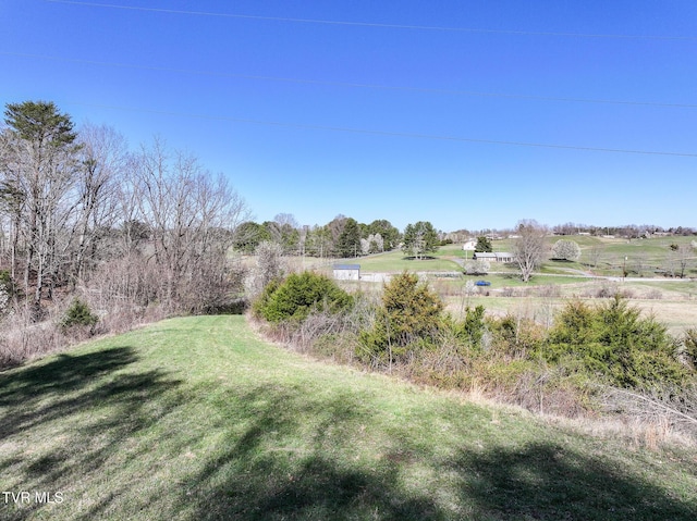 640 Twin Barns Rd, Greeneville, TN 37743 - photo 10