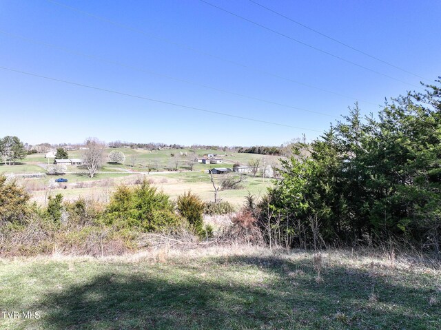 640 Twin Barns Rd, Greeneville, TN 37743 - photo 11
