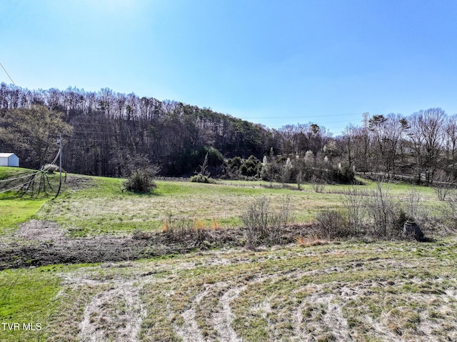 640 Twin Barns Rd, Greeneville, TN 37743 - photo 31