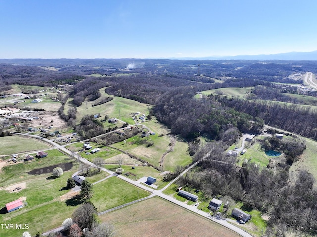 640 Twin Barns Rd, Greeneville, TN 37743 - photo 34