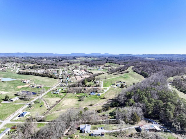 640 Twin Barns Rd, Greeneville, TN 37743 - photo 35
