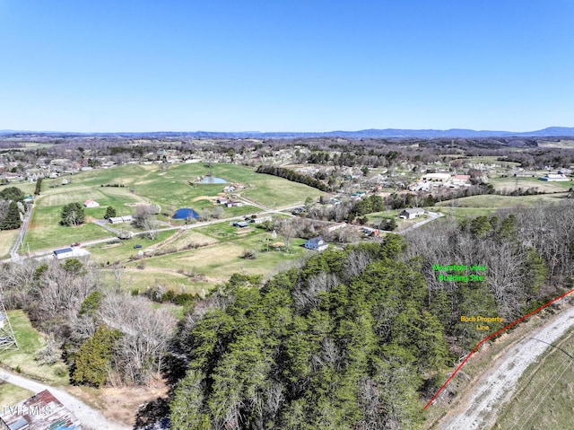640 Twin Barns Rd, Greeneville, TN 37743 - photo 36