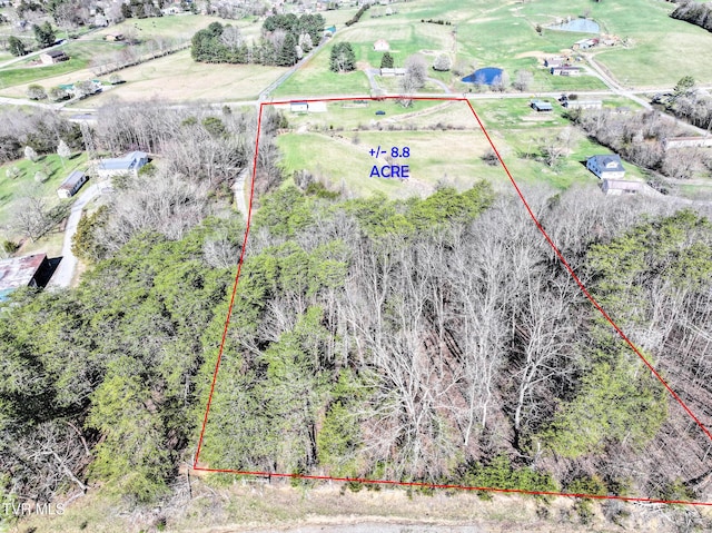 640 Twin Barns Rd, Greeneville, TN 37743 - photo 37