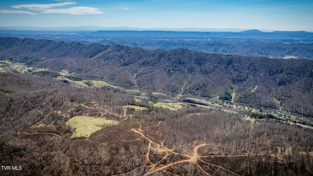 TBD Sweet Gum Dr, Gate City, VA 24251 - photo 1