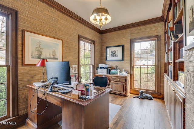 1221 Radcliffe Ave, Kingsport, TN 37664 - office with wood-type flooring, crown molding, and a chandelier