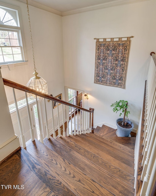 1221 Radcliffe Ave, Kingsport, TN 37664 - staircase with a towering ceiling, a notable chandelier, crown molding, and wood finished floors