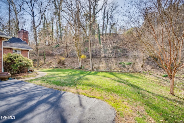 1221 Radcliffe Ave, Kingsport, TN 37664 - view of yard