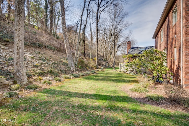 1221 Radcliffe Ave, Kingsport, TN 37664 - view of yard