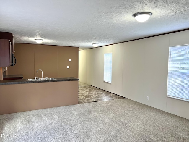 13 Woods Rd, Castlewood, VA 24224 - interior space featuring a wealth of natural light, a sink, and light carpet