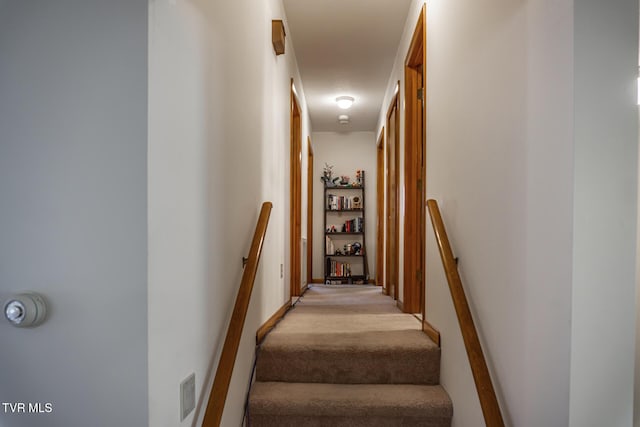 118 Starlite Dr, Greeneville, TN 37743 - stairs featuring carpet and baseboards