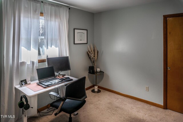 118 Starlite Dr, Greeneville, TN 37743 - home office with carpet floors and baseboards