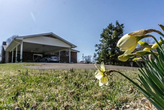 118 Starlite Dr, Greeneville, TN 37743 - view of yard featuring an attached carport