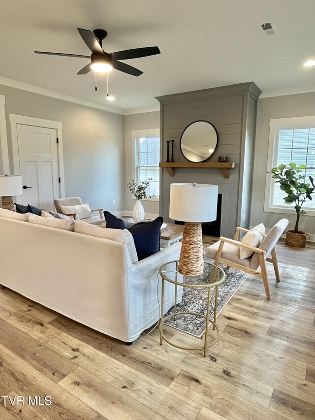 1270 Cabot Cv, Jonesborough, TN 37659 - living room featuring crown molding, a fireplace, light wood-style floors, a ceiling fan, and baseboards
